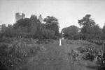 School garden