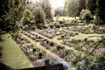 Garden, 1938