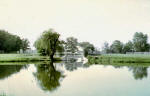 University Lakes