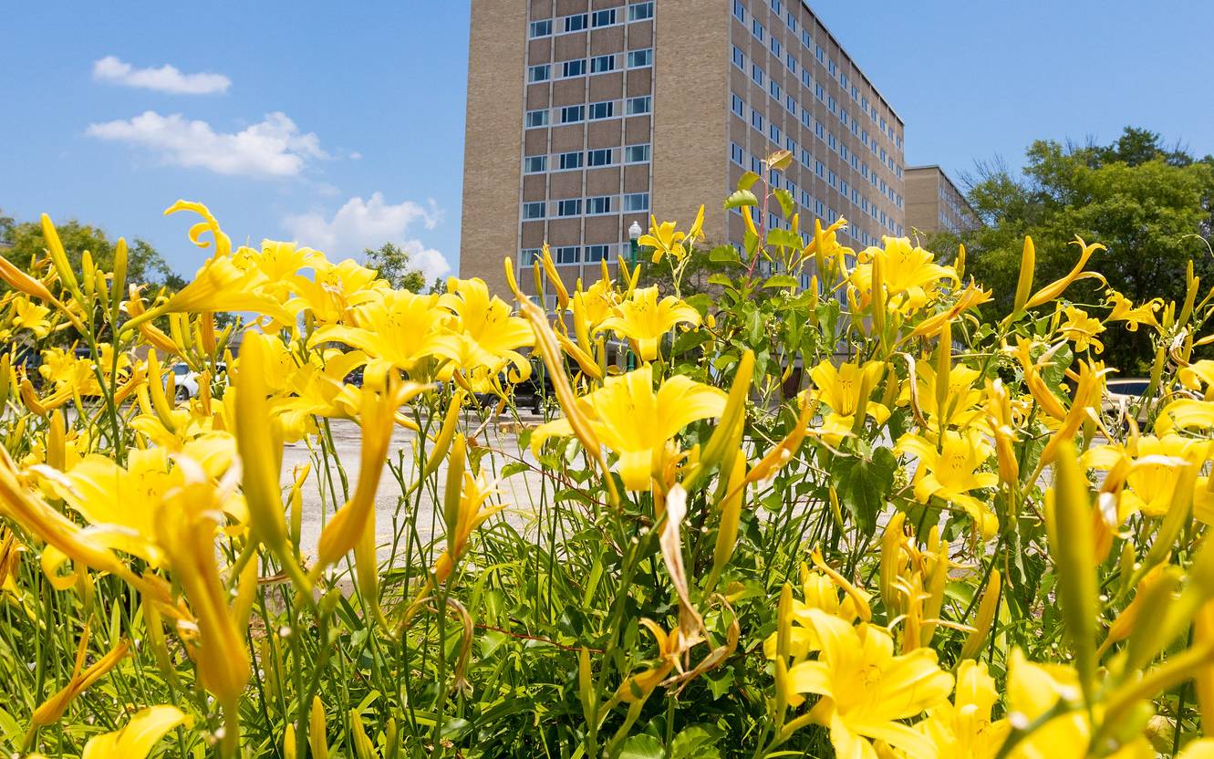 ALERT EIU